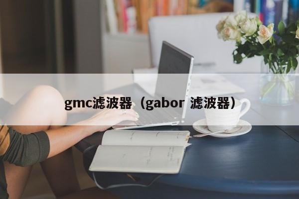 gmc滤波器（gabor 滤波器）-第1张图片-bevictor伟德-首页